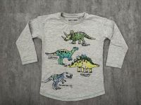 Next Sweatshirt Longsleeve Dinosaurier Baden-Württemberg - Philippsburg Vorschau