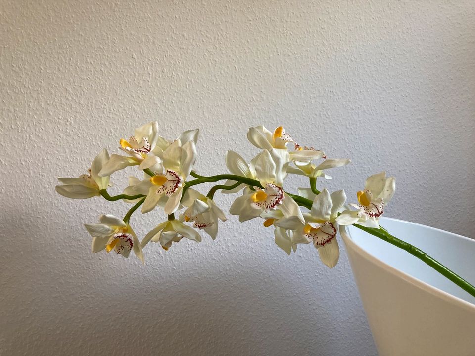 Orchideen Zweig Kunstpflanze naturnah in Wiesloch