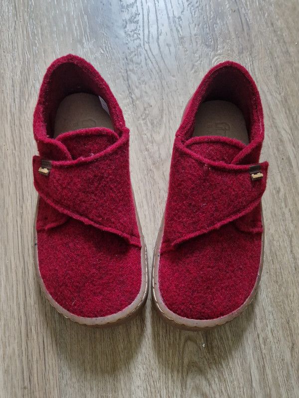 Froddo Barfußschuhe rot dunkelrot Barefoot Wooly Bordeaux 28 in Lüneburg