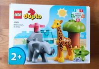 Lego Duplo 10971 wild Animation Africa neu Rheinland-Pfalz - Schalkenbach Vorschau