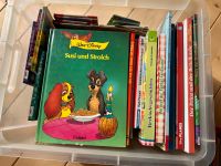 Überraschungsbox Bunte Kiste Kinderbücher für z.b. Kindergarten Sachsen - Roßwein Vorschau