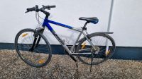 Fahrrad Trekkingrad 28 Zoll Bocas Baden-Württemberg - Ilsfeld Vorschau