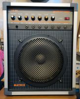 MATRIX VM30 Gitarrenverstärker Guitar Amp Verstärker für Gitarren Saarland - Losheim am See Vorschau