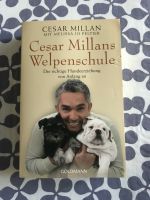 Buch César Millans Welpenschule Berlin - Reinickendorf Vorschau