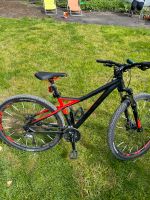 Mountainbike Bulls Sharptail 3  29“ (neuwertig) Niedersachsen - Holzminden Vorschau