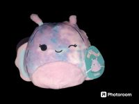 Squishmallow Dottie 7" Squishmallows Nordrhein-Westfalen - Remscheid Vorschau