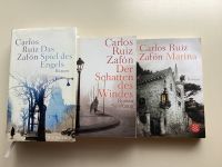 Bücher Carlos Ruiz Safon Bayern - Großhabersdorf Vorschau