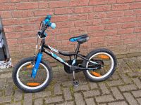 Kinderfahrrad Giant Animator 16 Zoll gebraucht Schleswig-Holstein - Idstedt Vorschau