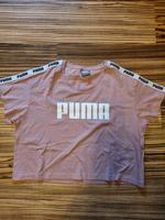 Puma Sport Logo T-Shirt altrosa Nordrhein-Westfalen - Nottuln Vorschau