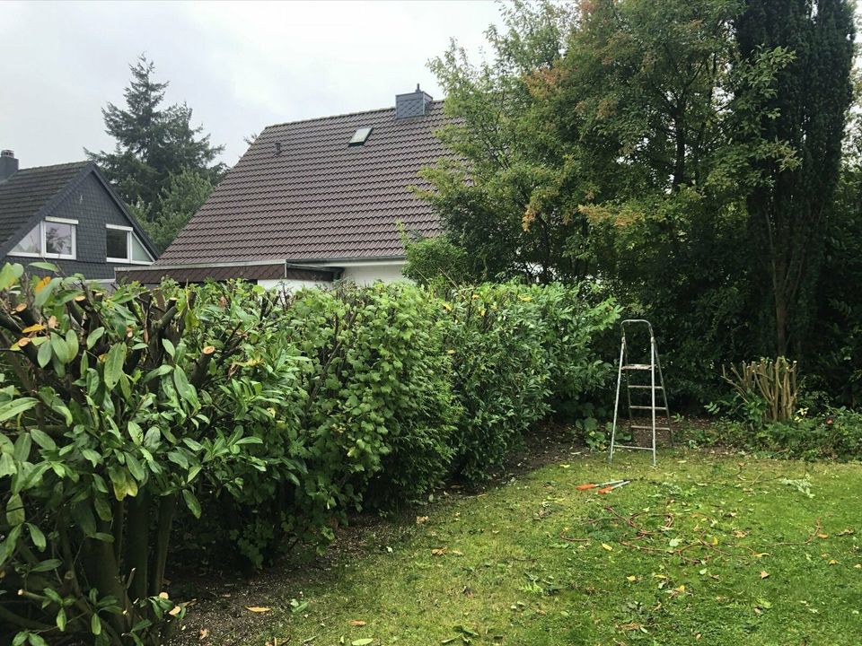 Hausmeister, Allrounder, Immobilienservice, Gartenpflege in Kiel