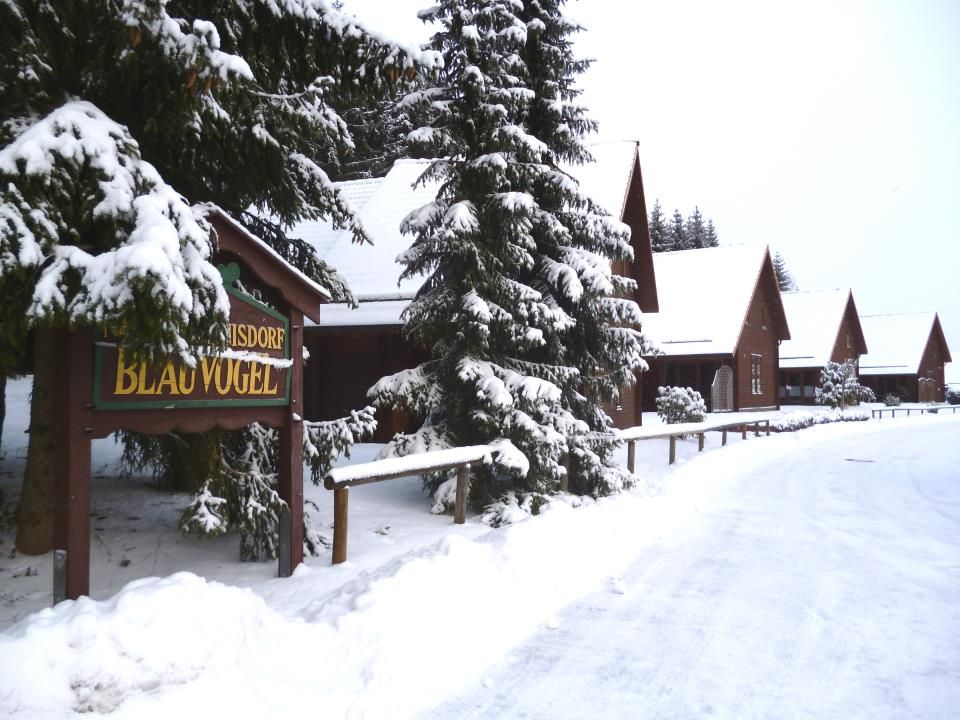 Ferienhaus 51, Typ B, Ferienanlage Blauvogel, Hasselfelde, Harz in Nesselwang