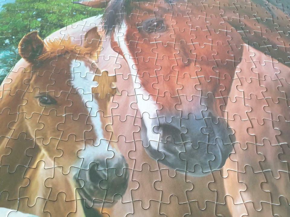 King Animal Collection 1000 Teile Puzzle Horses at the gate in Bad Lippspringe