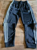 Adidas Jogginghose Größe 152 Sachsen - Olbernhau Vorschau