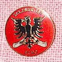 1 / 1 D Anstecker Pin Button Salzburger Echo ca. 2,5 cm einandfr Rheinland-Pfalz - Bacharach Vorschau
