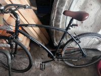 Ruhrwerk high quality Trekking Bike 28 Zoll Schleswig-Holstein - Oeversee Vorschau