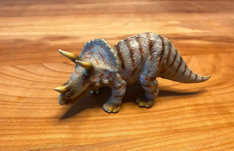 Schleich Dinosaurier + 4 Stück im Paket oder solo in Köln