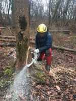 Baumfällung , outdoortool ,Motorsäge , Ausrüstung ,  ,Sägenkurs Nordrhein-Westfalen - Ennigerloh Vorschau