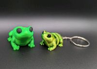 Bewegliche Frosch Magnete, Figuren oder Schlüsselanhänger Sachsen-Anhalt - Dessau-Roßlau Vorschau