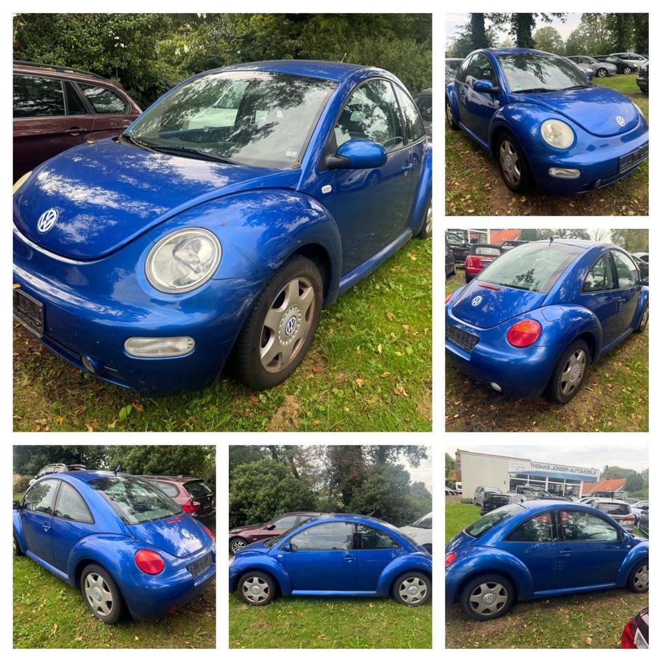 Volkswagen NEW BEETLE 1.4 16V*KLIMA*SHZ*NSW*LM*GJR*HU10/24* in Friedeburg