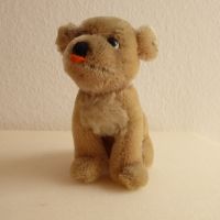 Steiff Hund Mopsy, drehbarer Kopf, 12 cm Hessen - Eschborn Vorschau