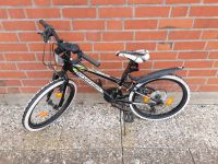 MTB Kinderfahrrad Bergsteiger Kansas 20", 6-Gang Schleswig-Holstein - Duvensee Vorschau