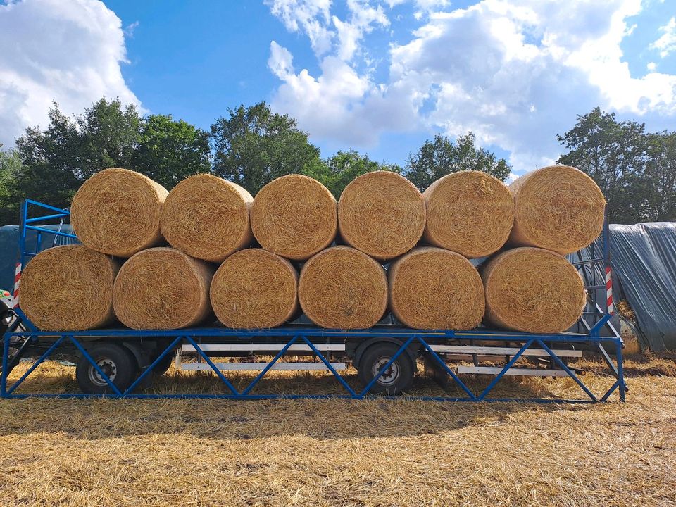 Strohwagen/Ballenwagen in Schapen