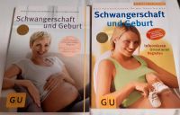 2 Bücher: Schwangerschaft und Geburt zu verkaufen Hessen - Bad Vilbel Vorschau
