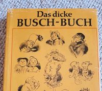 Das dicke BUSCH - BUCH von 1975, DDR Sachsen - Dommitzsch Vorschau