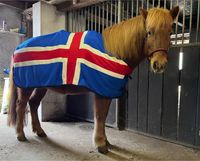 Topreiter Abschwitzdecke Islandflagge Nordrhein-Westfalen - Verl Vorschau