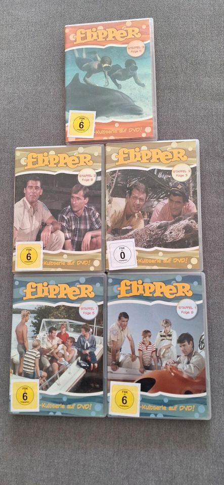 DVD Flipper 5 Stück in Duisburg