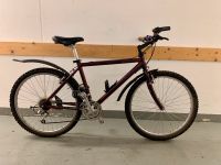 Bordeauxfarbenes Herren Mountainbike | Fahrrad | Rad | 26 Zoll Obergiesing-Fasangarten - Obergiesing Vorschau