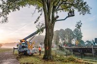 Hubsteigerfahrer für Baumpflege (m/w/d) Quereinsteiger willkommen Nordrhein-Westfalen - Schwerte Vorschau