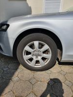 Audi A4 B8 original Sommer Aluräder Sommerreifen 16 Zoll Baden-Württemberg - Neuenstadt Vorschau