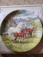Davenport Sammelteller, Welsh Mountain Ponies Niedersachsen - Bispingen Vorschau