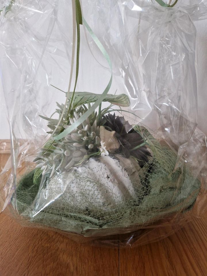 Dekomuschel Blumen NEU von Schley's als Geschenk verpackt in Gladbeck