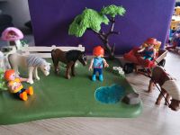 Playmobil Pferdkoppel und Kutsche Dithmarschen - Wesselburen Vorschau