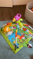 Spielbogen „Rainforest“ von Fisher-Price Nordrhein-Westfalen - Bergisch Gladbach Vorschau