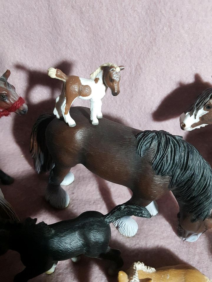 Schleich Tiere in Geldern