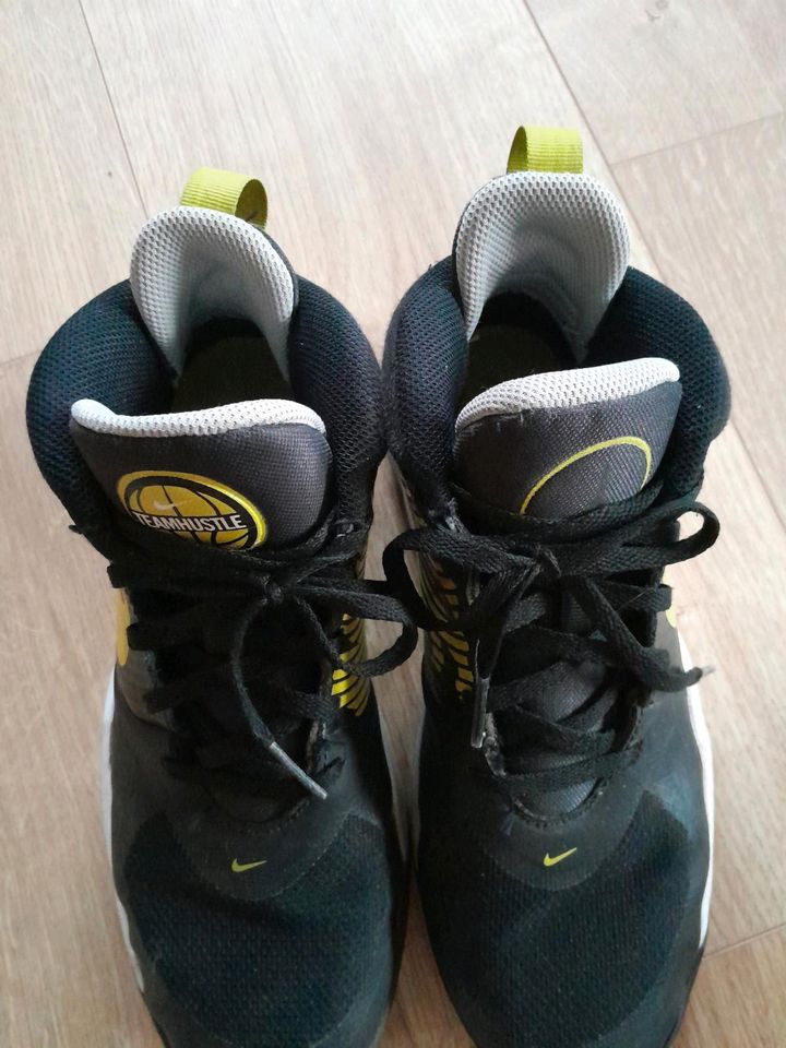 Nike Schuhe, Sportschuhe Gr. 38,5 in Potsdam