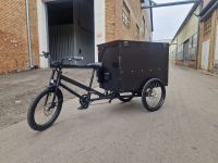 Lastenrad Elektro Dreirad Box Lastenfahrrad Cargo Bike E-Bike Nordrhein-Westfalen - Emmerich am Rhein Vorschau