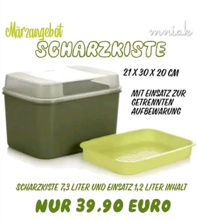 Tupperware Schatzkiste mit Einsatz 7,3l *NEU* in Ludwigsau