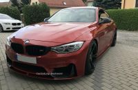 BMW M2 M3 M4 GTS Getriebe DKG DSC F80 F83 F82 Lenkung Sachsen - Puschwitz Vorschau