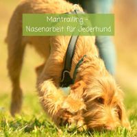 NEU Dienstags 17 & 18 Uhr neuer Mantrailing-Kurs, ab 17.10. Nordrhein-Westfalen - Solingen Vorschau