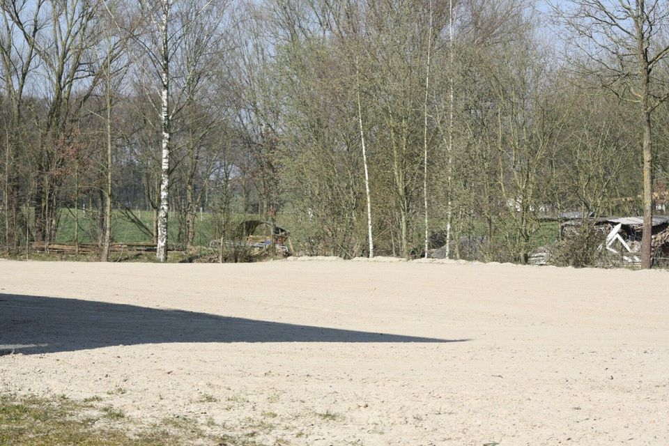 Schöne helle Paddockboxen / Pferdeboxen Rulle bei Osnabrück frei in Wallenhorst