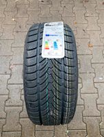 1x 225/40r18 92V Platin RP60 Winterreifen Nordrhein-Westfalen - Recklinghausen Vorschau