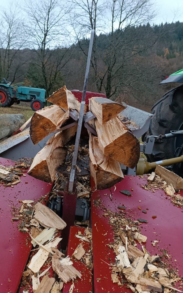 Lohnspalten   Brennholz      Forsttätigkeiten v. Odenwald in Schriesheim