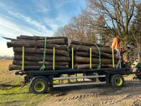 Brennholz / Stammholz / Feuerholz zu verkaufen Niedersachsen - Essen (Oldenburg) Vorschau