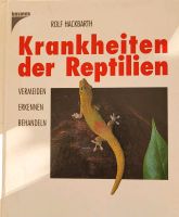 Krankheiten der Reptilien Rheinland-Pfalz - Ingelheim am Rhein Vorschau