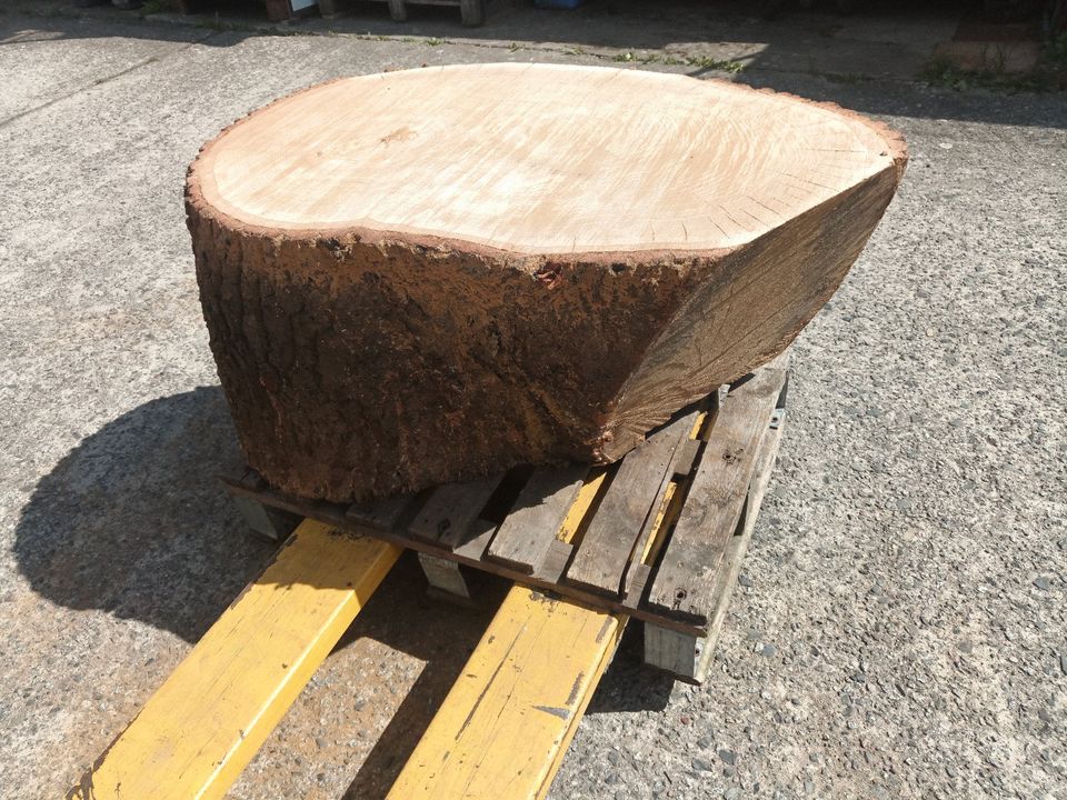 Holz Eiche trocken Eichenholz Eichenbaum Eichenstamm Baumstamm in Schöneiche bei Berlin