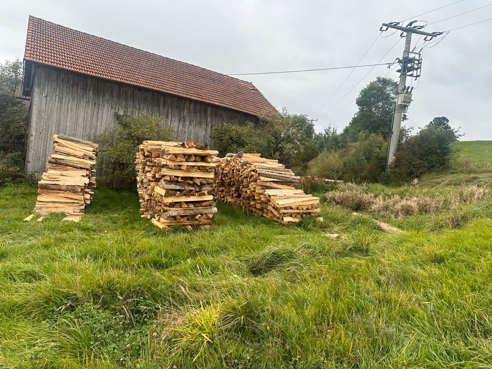 Brennholz Fichte in Bernbeuren